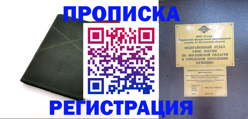 прописка в квартире в Тынде